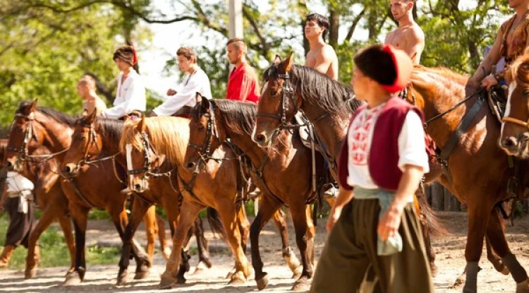 Євшан-зілля. Автор:  Микола Вороний