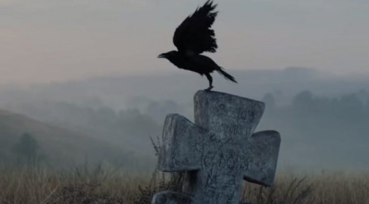 Чорний Ворон