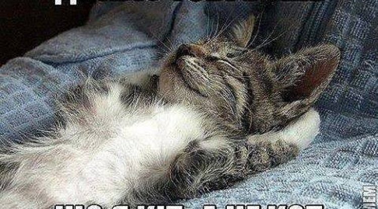 Мова-нації, язик-скоту. Світлий гумор.