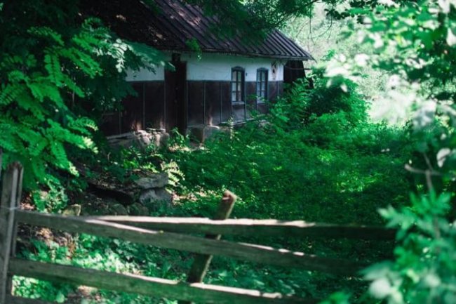 Сільські жінки вмирають як квітки… Без метушні, без істерики, тихо і гідно.